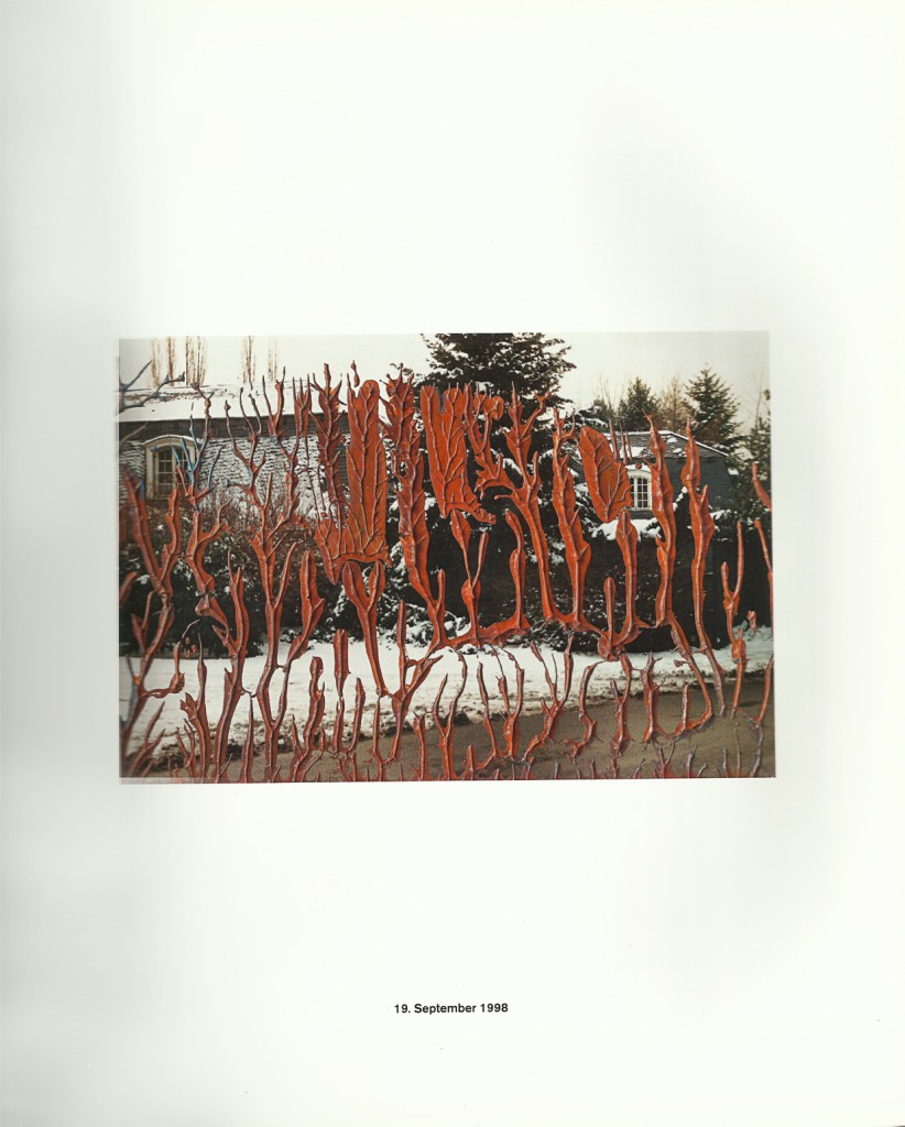 Gerhard Richter Overpainted Photographs 2