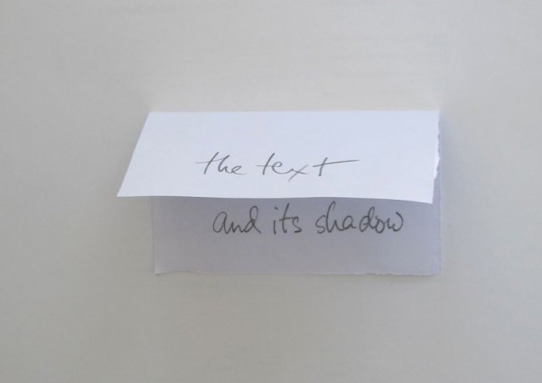 Luis Camnitzer, The Text and Its Shadow, 2009-2012. 