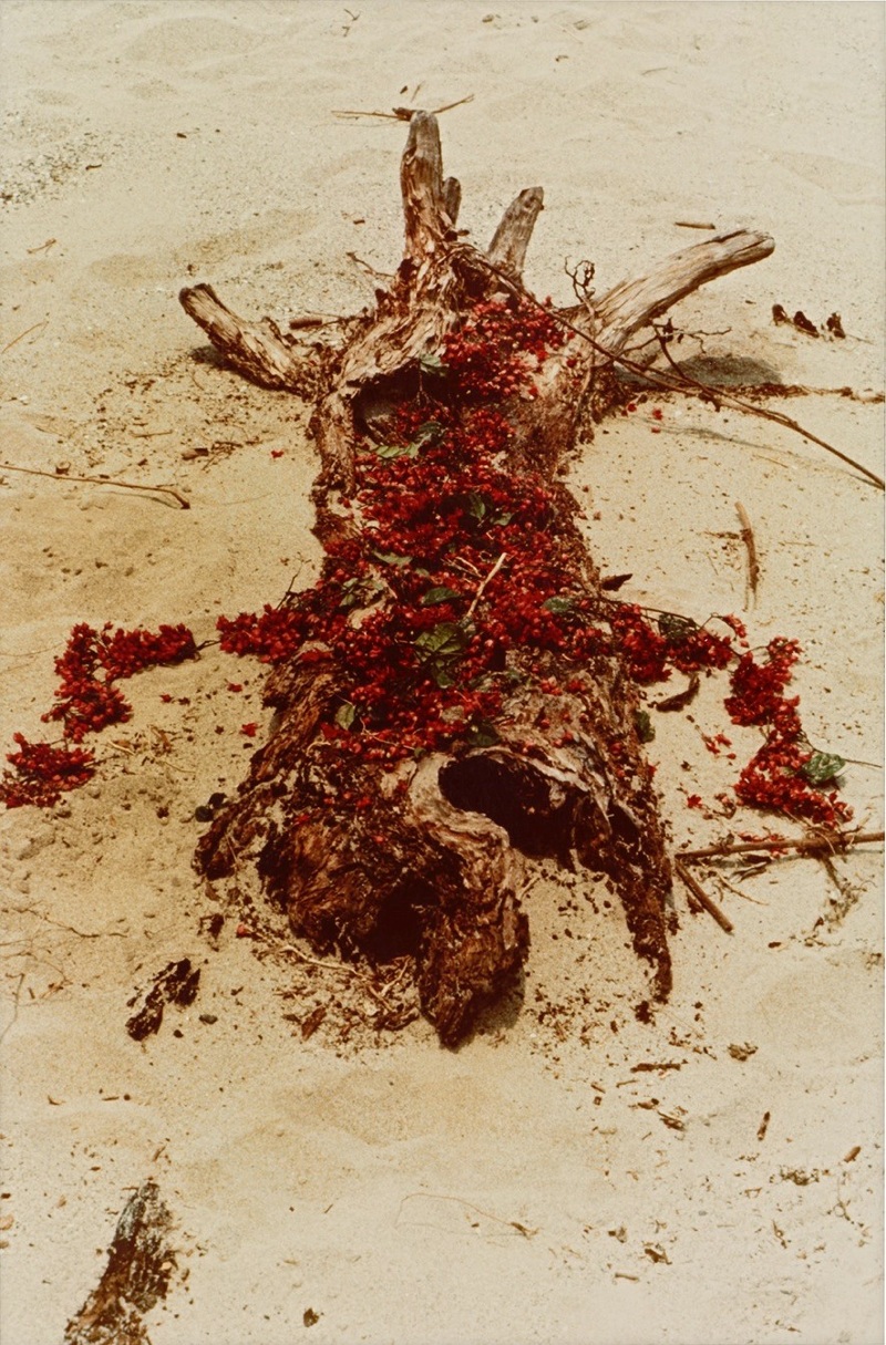 Ana Mendieta. "Árbol de la vida" (1976). Earth/Body Work, México.